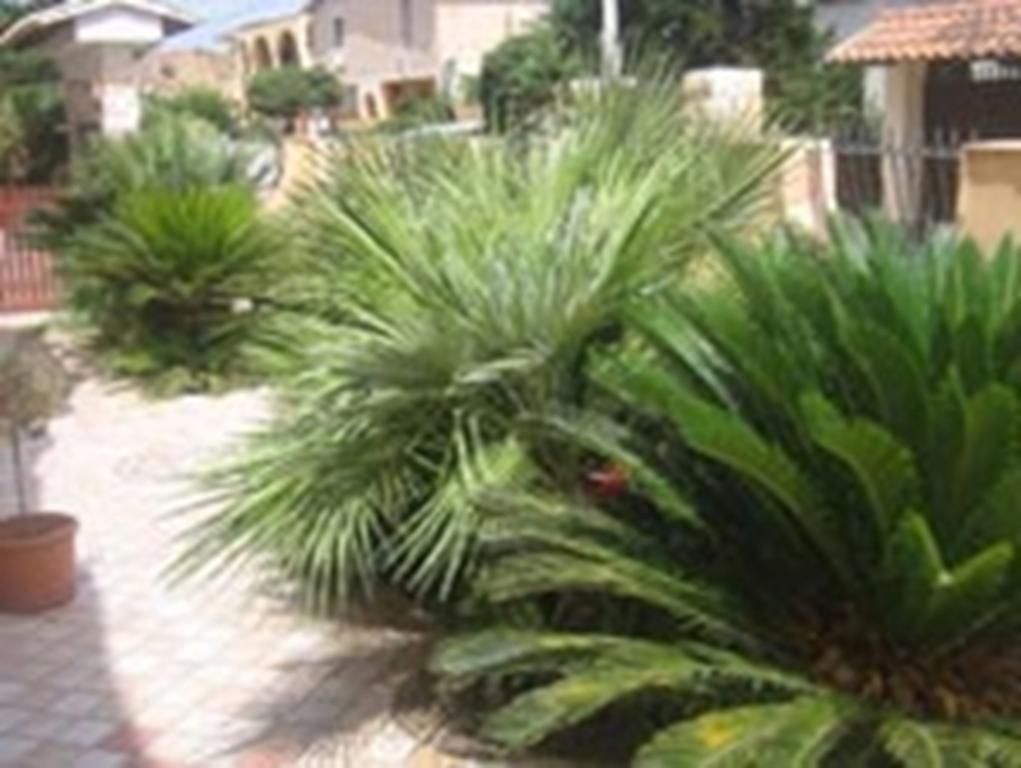 B&B Villa Olimpo Le Torri Agrigento Exterior photo